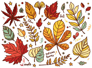 Fototapeta premium vector set of autumn illustration