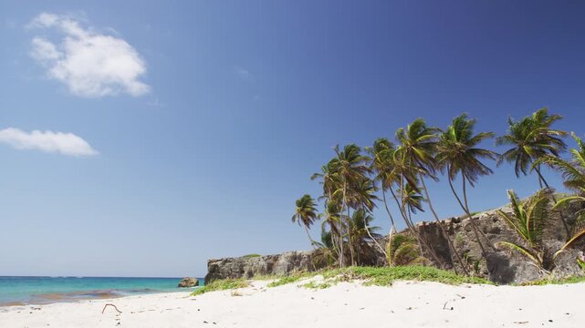 Tropical Barbados beach - Caribbean landscape nature shot of Bottom Bay on the south coast of Barbados, between Cave Bay and Palmetto Bay and is one the best beaches of Barbados. Cruise destination.