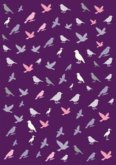 Fototapeta premium Colorful Bird Silhouette Seamless Pattern on Purple Background