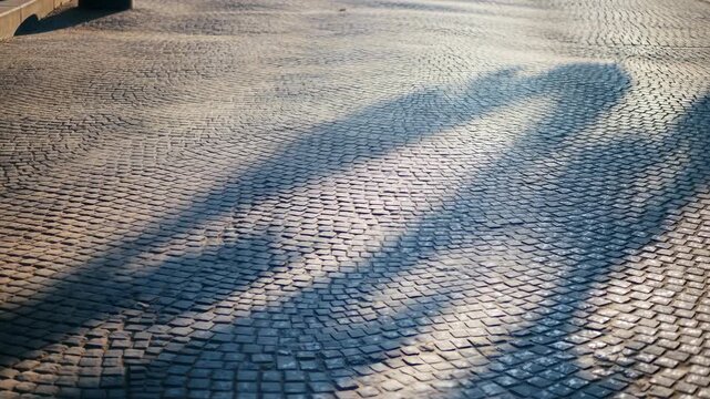 Wet cobblestone pavement with long diagonal shadow bands under warm low-angle sunlight, showing reflective stone texture, weathered joints, urban surface detail, calm mood