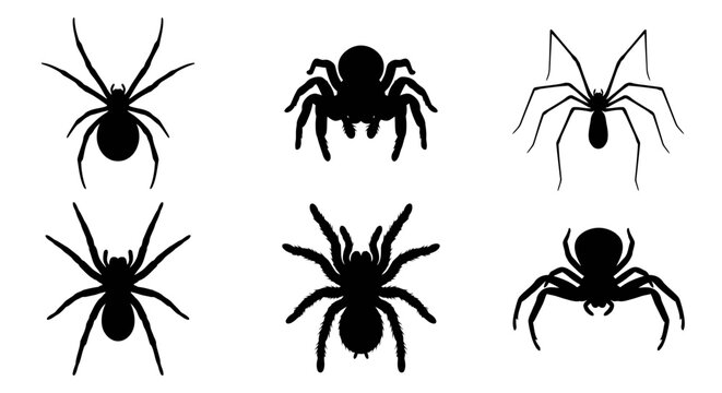 Black spider silhouette collection in various shapes and poses for halloween scary theme and decorative graphics.