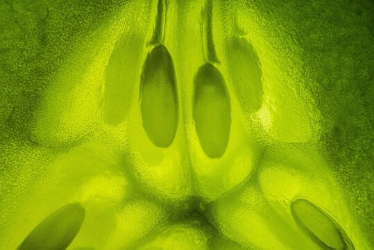 Close-up of vibrant green cucumber seeds with texture