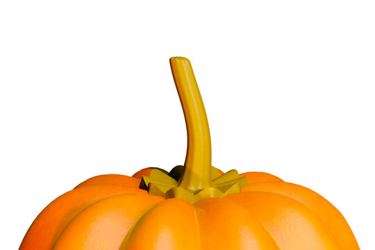3d pumpkin stem close up isolated on transparent background for halloween autumn harvest seasonal design and cutout graphics