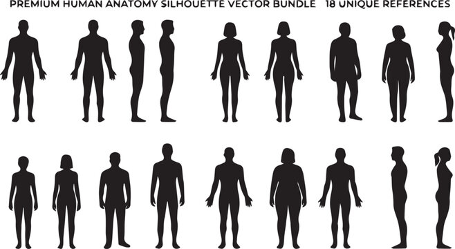 Human Anatomy Silhouette Collection, Male Female Body Reference Front Side Standing Poses Isolated on White Background Vector Design