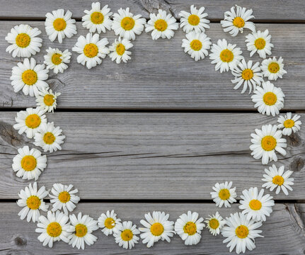 Kranz aus Margeriten auf einem Grauen Holzhintergrund
