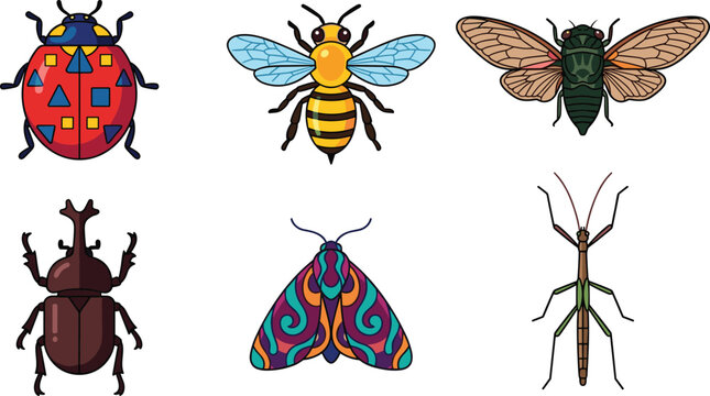  Cartoon insect vector set with cute colorful bug characters and patterned beetle specimens isolated on white background