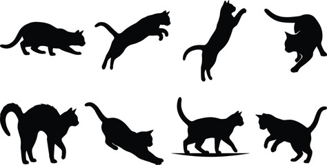 Cat silhouettes vector set featuring felines jumping stretching crouching walking and playing icons isolated on white background © Alif