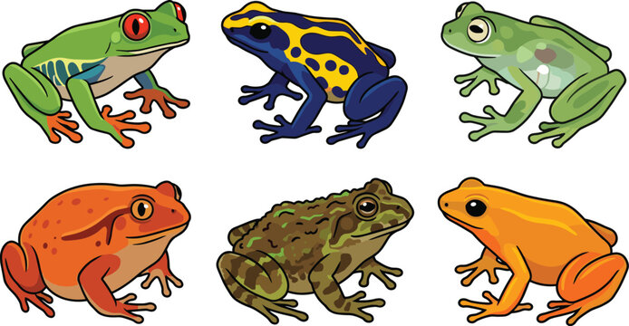  Cartoon tree frog and toad vector set with cute colorful amphibian wildlife characters isolated on white background