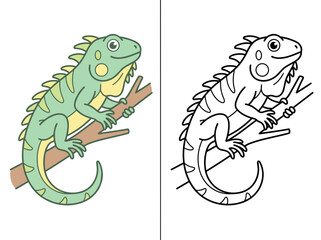 Obraz premium A cute green iguana vector illustration featuring a full color character design side by side with a clean black and white line art coloring page outline.