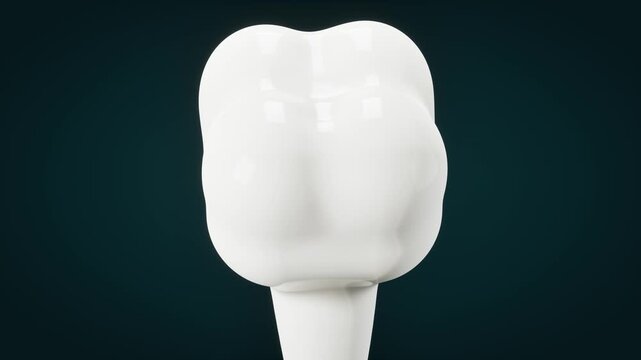 White tooth on dark background. 3d rendering
