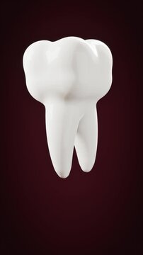 White tooth on dark background. 3d rendering