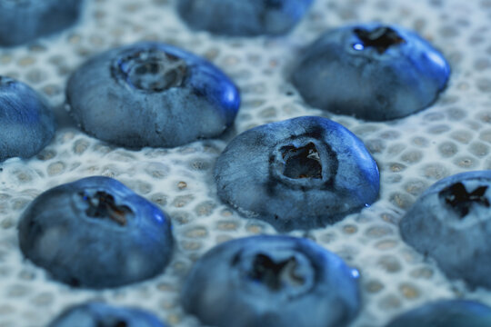 Macro close-up shot of chia pudding in almond milk with fresh blueberries. Healthy dessert for food blog, restaurant menu, banner, social media post, cookbook cover and wellness advertising.
