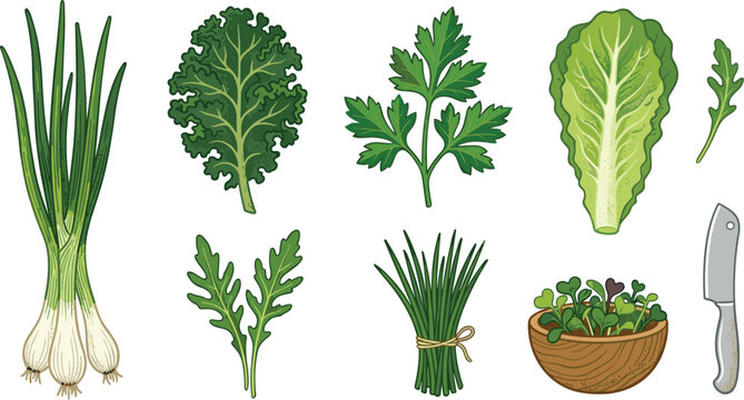 Fresh Leafy Green Vegetables Collection Vector Set with Spring Onion Kale Parsley Romaine Lettuce Arugula Salad Bowl and Kitchen Knife