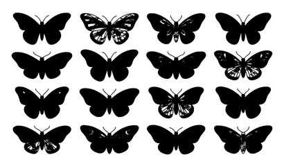 Butterfly Silhouette Collection Black and White Nature Insect Vector Set © Mdabdul