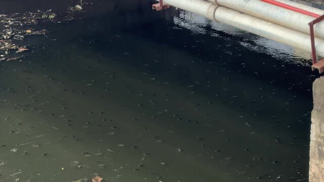 Polluted dark water with floating trash and pipes, depicting environmental contamination and waste problem