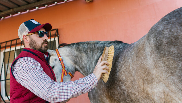 Man grooming horse on a ranch with brush