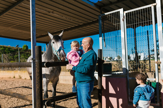 Grandfather holding grandchild connecting with a horse