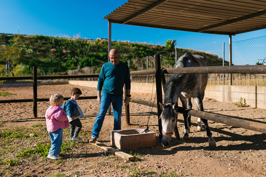 Man and children interacting with a horse in paddock