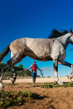 Equestrian training a horse in a dusty arena