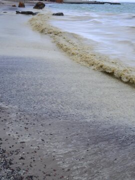 Environmental disaster in the Black Sea: vegetable oil spill into the marine environment caused by military hostilities and the destruction of oil storage facilities