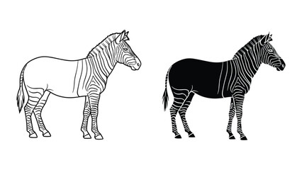 Obraz premium Set of two zebras, one outline drawing and one silhouette, isolated on white background