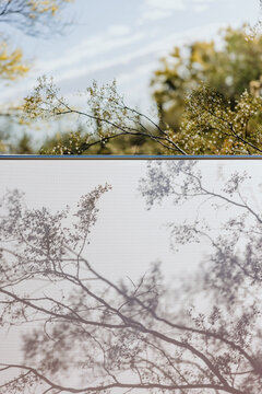 Desert Plant Shadows on White Fabric