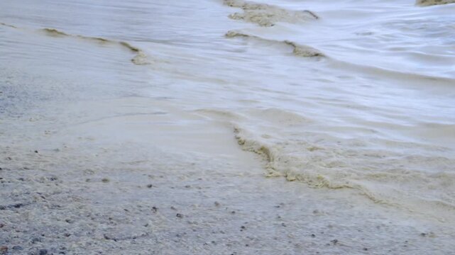 Environmental disaster in the Black Sea: vegetable oil spill into the marine environment caused by military hostilities and the destruction of oil storage facilities