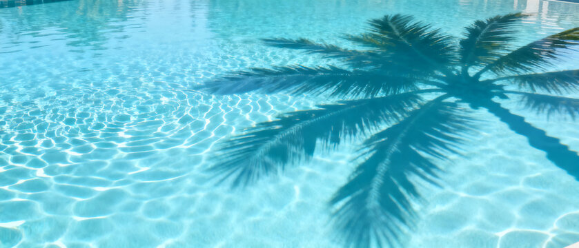 A clear water pool reflects the detailed shadow of a palm tree, creating a serene tropical ambiance.