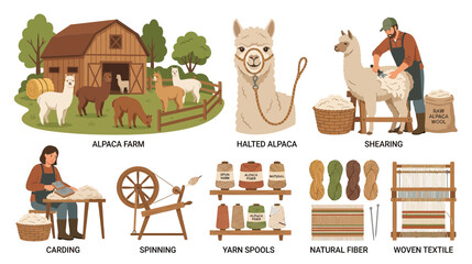 Alpaca farm life and wool processing illustration © supri