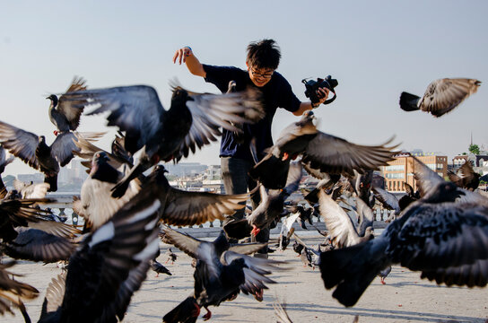 Male teenager jumping among a flock of pigeons at sunset in the city