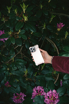 Hand holding a smartphone with floral background in a garden