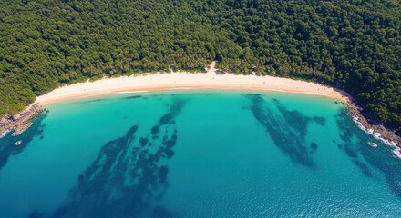 Fototapeta premium An aerial top-down view captures a pristine crescent-shaped sandy beach bordered by a dense emerald green tropical forest, with crystal clear turquoise ocean waters meeting the white shoreline below.