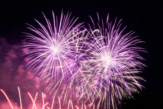 Vibrant purple fireworks light up the night sky during a festive holiday celebration, creating glowing patterns in the darkness above the silent landscape
