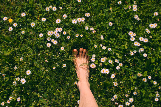 Walk grass barefoot feet