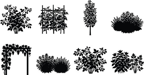 Black silhouette collection of garden plants grape pergola climbing vines and berry bushes on white background © Raju