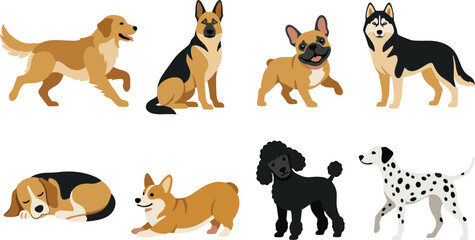 Cute Cartoon Dog Breeds and Poses Collection Vector Illustration Set Isolated on White Background © Raju