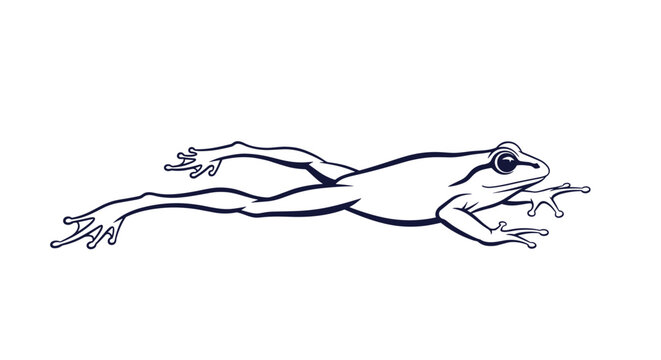 Minimalist black and white vector outline drawing of a frog swimming or leaping in a horizontal position.