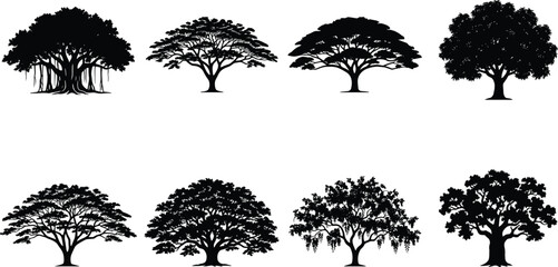 Set of black tree silhouettes including banyan oak acacia and tropical species isolated on white background © Raju