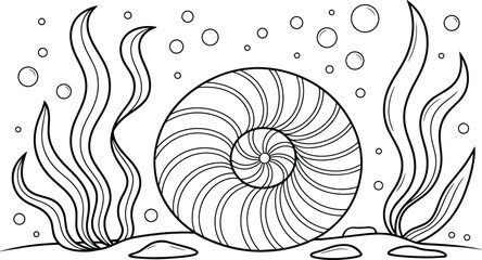 Nautilus shell underwater scene with seaweed and bubbles, hand drawn black and white coloring page for children and adult creativity and spiral © lok0077