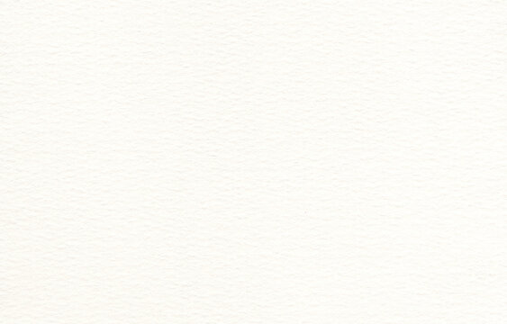 Cold press cotton watercolor paper balances an even fibrous tooth with softly raised painting grain while supporting controlled washes granulation dry brush accents and layered pigment research