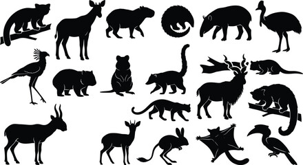 South American Wildlife Silhouette Icon Set Featuring Mammals Birds and Forest Animals for Nature and Conservation Design © VectorWorld
