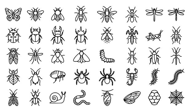 Modern Insect Line Icons Collection with Garden Wildlife and Entomology Symbols Black Outline Vector on White Background