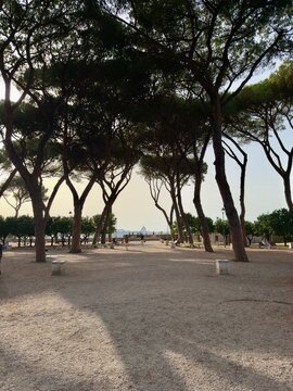 Panoramic view of the Orange Garden (Giardino degli Aranci) in Rome, Italy