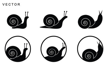 Snail vector icon, Snail modern line art, black and white snail and slug crawling icons, Vector illustration © Badman