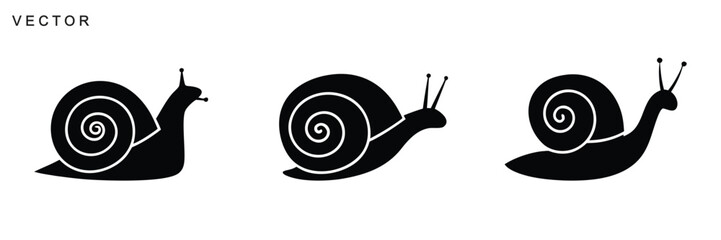 Snail vector icon, Snail modern line art, black and white snail and slug crawling icons, Vector illustration © Badman