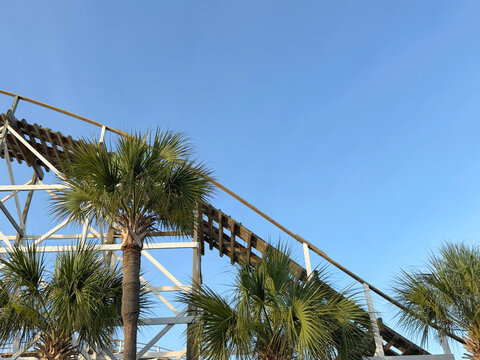 SC MB Coaster Palms and Hill 2026