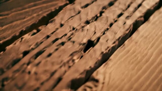Rustic Wood