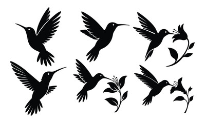 Hummingbird silhouette  set vector illustration, hummingbird silhouette vector, hummingbird silhouette set, isolated hummingbird silhouette © VectorEliteX