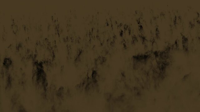 Cold Rolling Mist angled Overlay Background, Cinematic Fog Moving Down Screen, 4K Alpha Channel