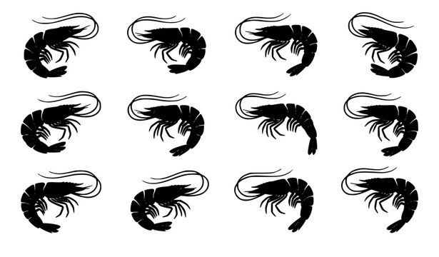 Elegant shrimp silhouette collection black seafood vector illustration isolated on white background